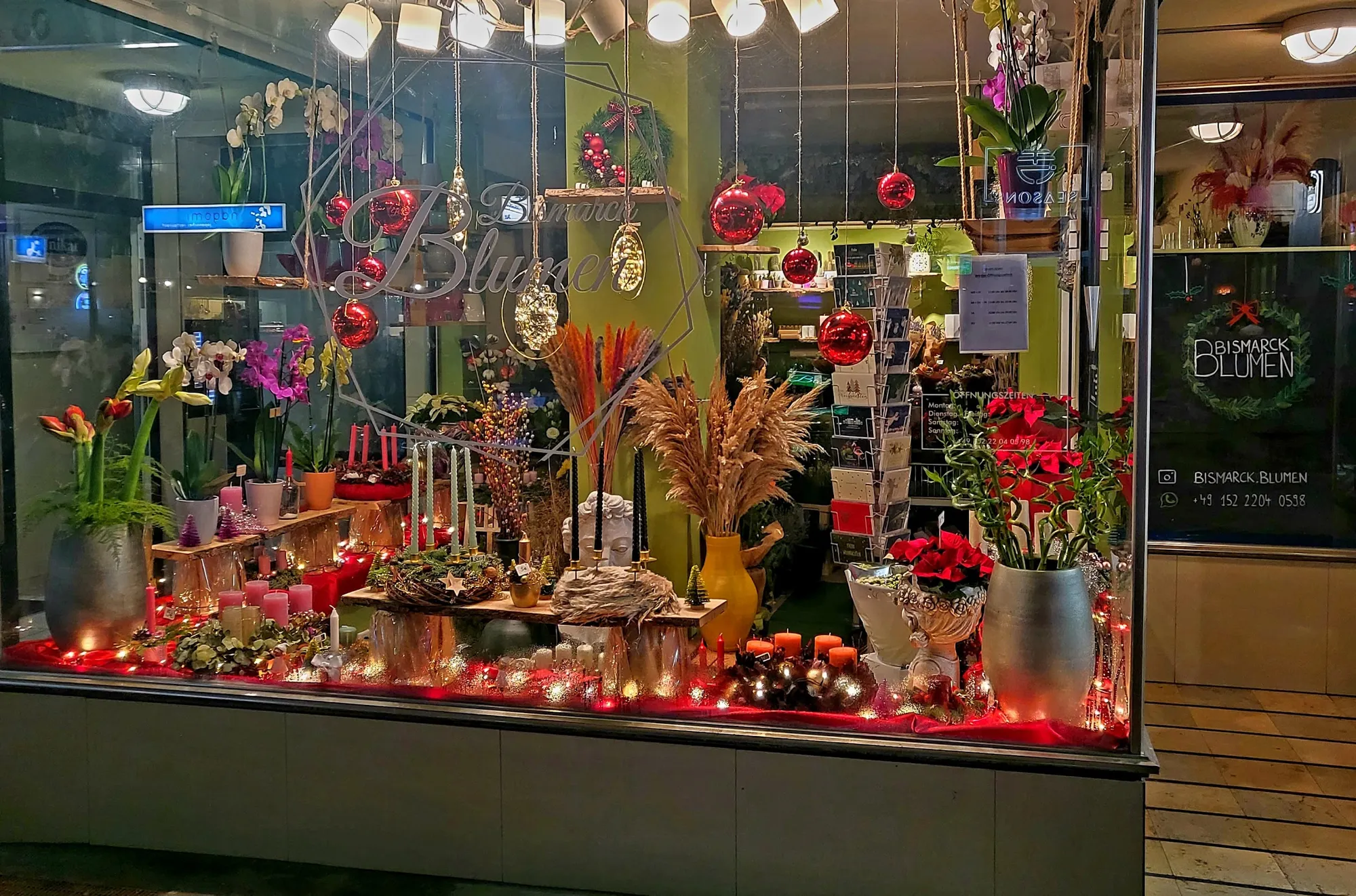 Beleuchtetes Schaufenster am Abend mit Orchideen, Weihnachtssternen, Kerzen und roten Kugeln